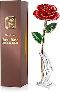 Sinvitron Gold Dipped Rose Real 24K Flowers